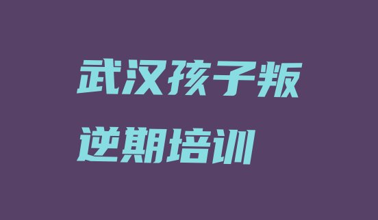 十大武汉汉阳区孩子叛逆期武汉汉阳区机构可靠吗(武汉汉阳区孩子叛逆期培训学校哪家好 如何选择)排行榜