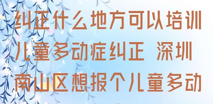 十大深圳南山区儿童多动症纠正什么地方可以培训儿童多动症纠正 深圳南山区想报个儿童多动症纠正培训班排行榜