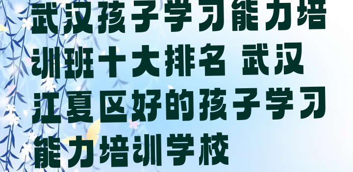 十大武汉孩子学习能力培训班十大排名 武汉江夏区好的孩子学习能力培训学校排行榜