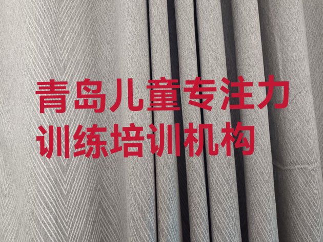 十大2024年青岛城阳区有没有儿童专注力训练速成班(青岛城阳区儿童专注力训练培训周末课程)排行榜