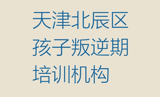 十大天津北辰区孩子叛逆期培训视频(天津孩子叛逆期培训学校排行)排行榜