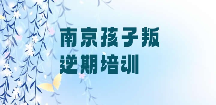 十大2024年10月南京栖霞区孩子叛逆期有什么样的孩子叛逆期培训班(南京栖霞区孩子叛逆期培训班多少钱一节课)排行榜