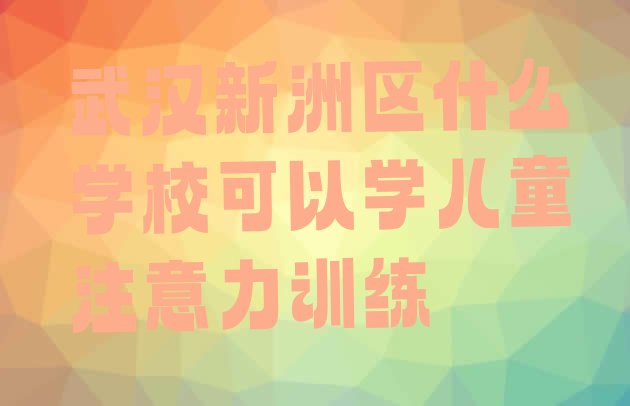 十大武汉新洲区什么学校可以学儿童注意力训练排行榜