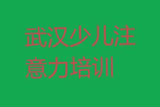 十大武汉洪山区儿童专注力训练培训班报名(武汉洪山区儿童专注力训练培训学费是多少钱)排行榜