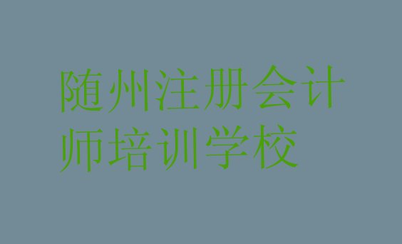 十大随州排名前十的注册会计师培训班排行榜