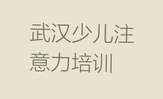 十大2024年武汉侏儒山街道成功片区孩子沟通能力培训一般要多少钱一个月 武汉蔡甸区孩子沟通能力培训说明排行榜