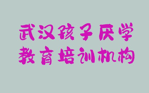 十大2024年武汉江夏区学孩子厌学教育培训学校哪家比较好 武汉江夏区孩子厌学教育哪里孩子厌学教育培训班划算一点排行榜