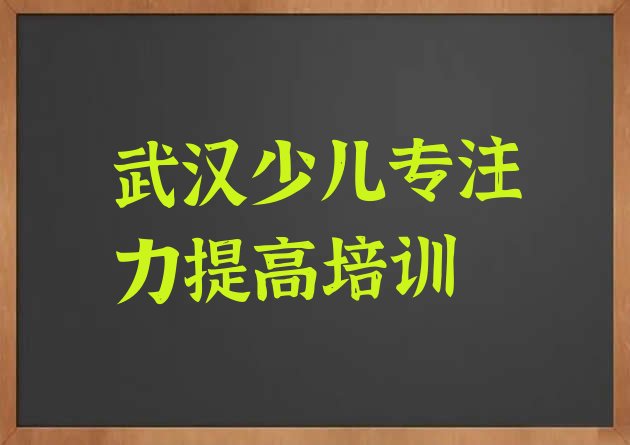 十大武汉正规少儿专注力提高机构排名十大排名排行榜