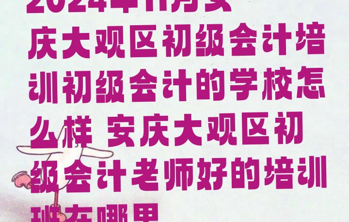 十大2024年11月安庆大观区初级会计培训初级会计的学校怎么样 安庆大观区初级会计老师好的培训班在哪里排行榜