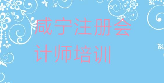 十大咸宁咸安区注册会计师培训学校时间安排 咸宁咸安区注册会计师辅导机构哪家好?排行榜