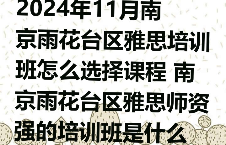 十大2024年11月南京雨花台区雅思培训班怎么选择课程 南京雨花台区雅思师资强的培训班是什么排行榜