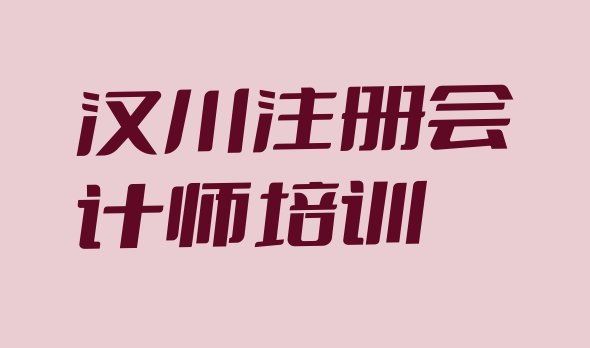 十大2024年11月汉川注册会计师哪些注册会计师培训学校排行榜