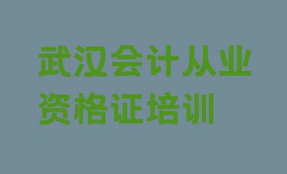 十大武汉江岸区会计从业资格证哪里有好的会计从业资格证培训班地方(武汉报会计从业资格证培训班)排行榜