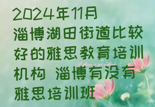 十大2024年11月淄博湖田街道比较好的雅思教育培训机构 淄博有没有雅思培训班排行榜