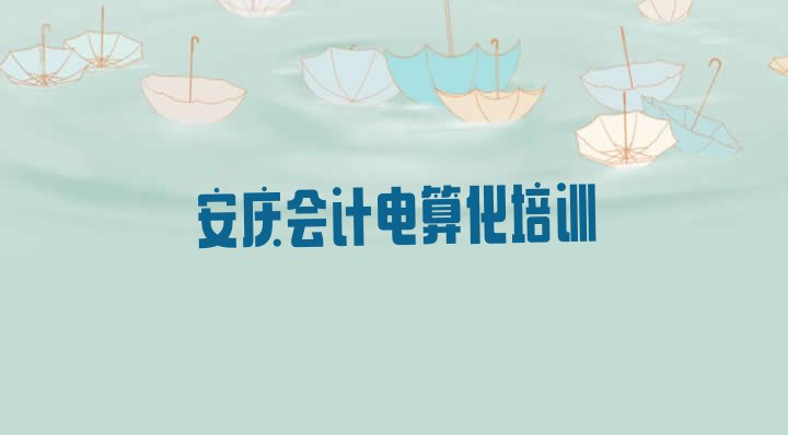 十大安庆会计电算化培训班学校(安庆迎江区会计电算化培训费用大概多少)排行榜