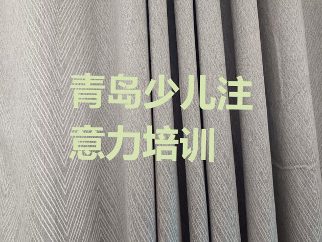 十大2024年11月青岛市南区孩子注意力不集中培训辅导收费明细 青岛孩子注意力不集中哪个机构好排行榜