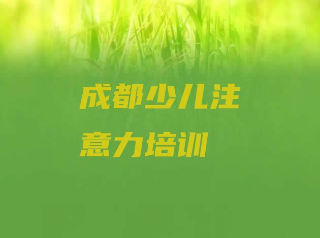 十大2024年11月成都锦江区孩子认知力辅导机构哪家好?排行榜