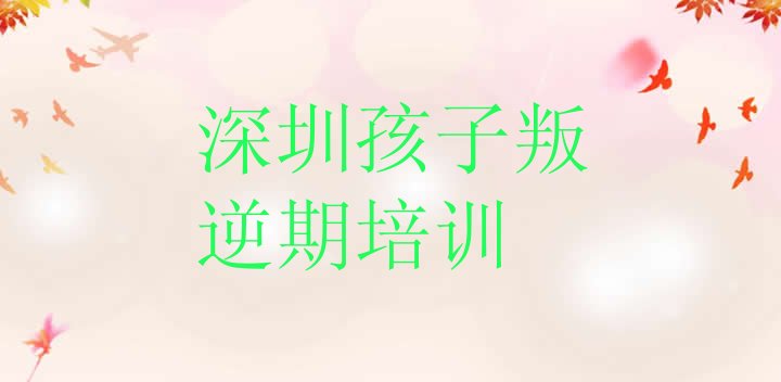 2024年11月深圳福田区学孩子叛逆期大概多少学费 深圳莲花街道孩子叛逆期培训学费”