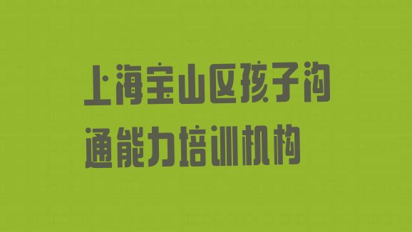 2024年上海宝山区孩子沟通能力专业培训学校排行榜”