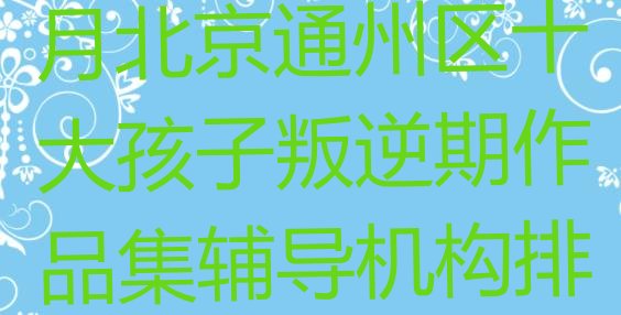 2024年11月北京通州区十大孩子叛逆期作品集辅导机构排名排名前十”