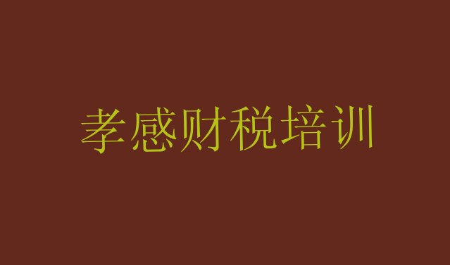 2024年11月孝感孝南区学财税去什么学校好”