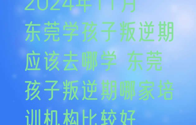 2024年11月东莞学孩子叛逆期应该去哪学 东莞孩子叛逆期哪家培训机构比较好”