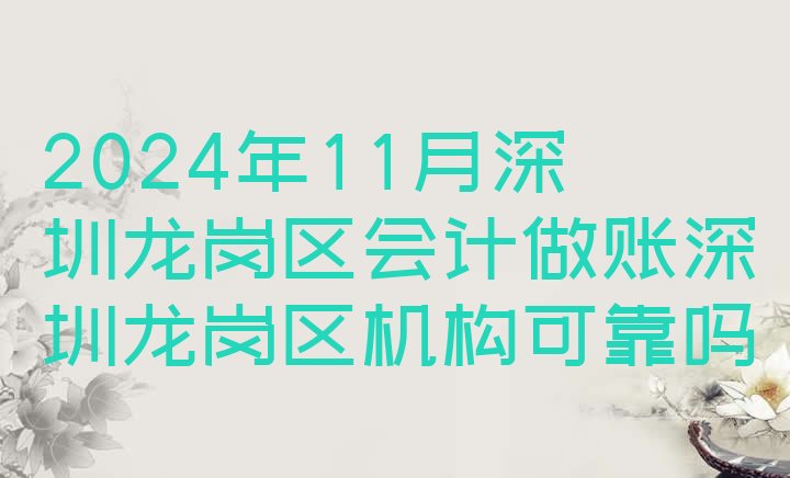 2024年11月深圳龙岗区会计做账深圳龙岗区机构可靠吗”