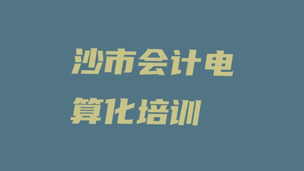 沙市会计电算化培训课件”