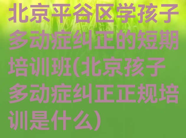 北京平谷区学孩子多动症纠正的短期培训班(北京孩子多动症纠正正规培训是什么)”