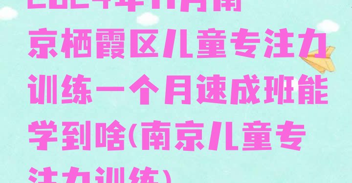 2024年11月南京栖霞区儿童专注力训练一个月速成班能学到啥(南京儿童专注力训练)”