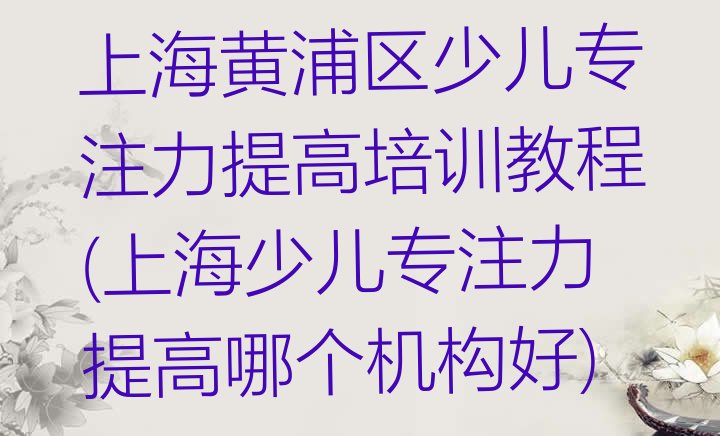 上海黄浦区少儿专注力提高培训教程(上海少儿专注力提高哪个机构好)”