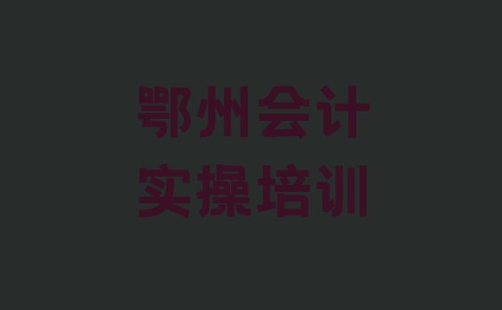 鄂州梁子湖区会计实操对培训班有什么建议 鄂州排名前十的会计实操一对一补习班”