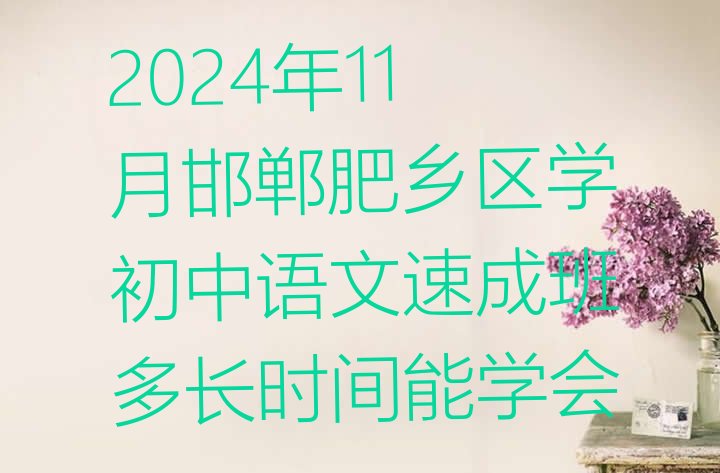 2024年11月邯郸肥乡区学初中语文速成班多长时间能学会”