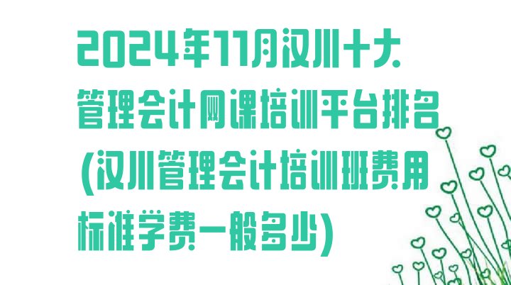 2024年11月汉川十大管理会计网课培训平台排名(汉川管理会计培训班费用标准学费一般多少)”