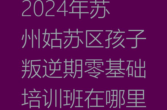 2024年苏州姑苏区孩子叛逆期零基础培训班在哪里”