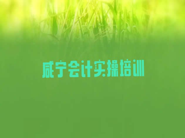 2024年咸宁关于会计实操培训班的介绍排名一览表”