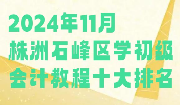 2024年11月株洲石峰区学初级会计教程十大排名”