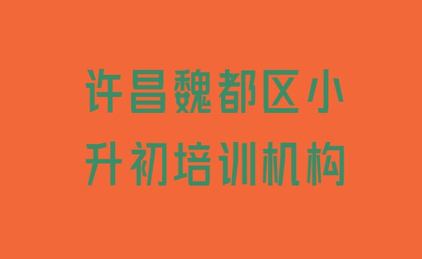 2024年11月许昌魏都区小升初培训哪家教的好(许昌魏都区小升初许昌魏都区培训班要多久)”