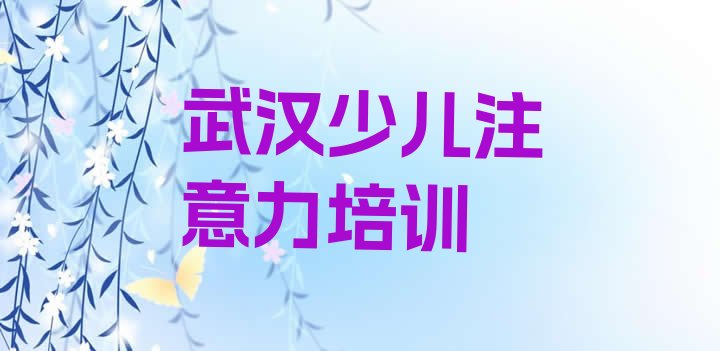 十大2024年12月武汉江夏区学儿童专注力训练大概需要多少学费名单更新汇总排行榜