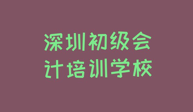 2024年12月深圳深圳市大工业区初级会计教育培训哪个口碑好(深圳坪山区初级会计培训招生学费多少钱一)”