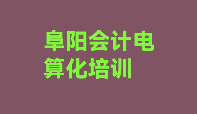 阜阳颍泉区会计电算化网上会计电算化机构哪个好 阜阳颍泉区会计电算化如何选择培训课程”