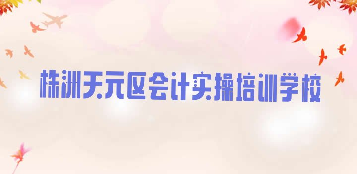 株洲天元区会计实操培训机构十大排行榜”