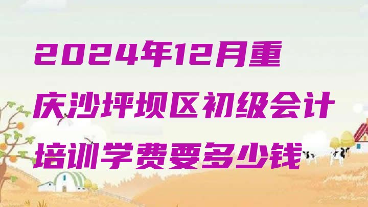 2024年12月重庆沙坪坝区初级会计培训学费要多少钱”