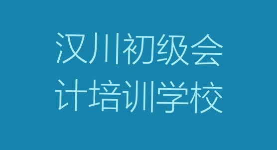 2024年汉川初级会计(汉川靠谱的初级会计培训班)”