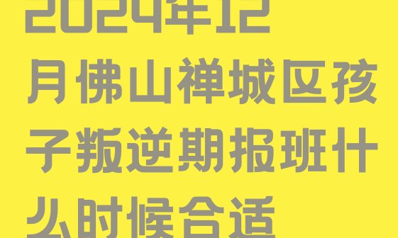 2024年12月佛山禅城区孩子叛逆期报班什么时候合适”