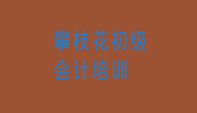 攀枝花仁和区初级会计学初级会计去哪里好”