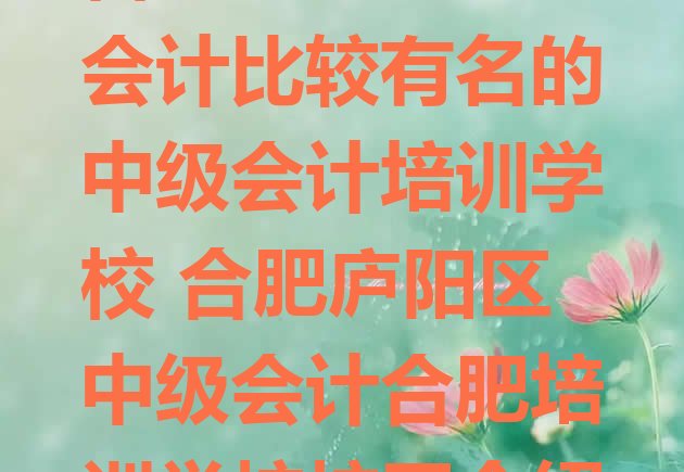 合肥庐阳区中级会计比较有名的中级会计培训学校 合肥庐阳区中级会计合肥培训学校校区介绍”