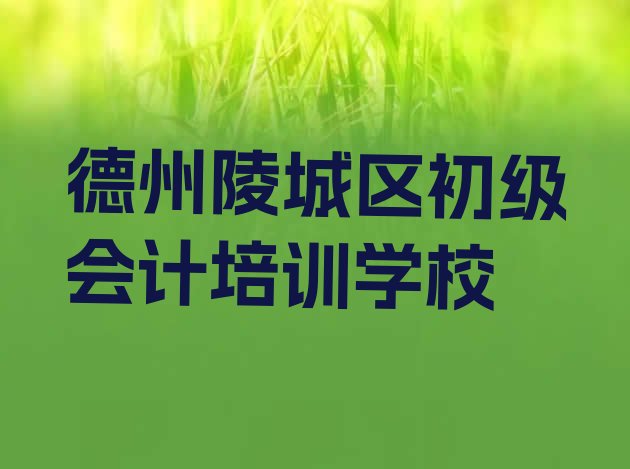 12月德州陵城区初级会计哪些学校的初级会计培训好”