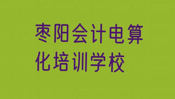 枣阳市学会计电算化哪个学校十大排名”