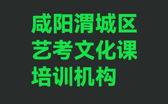 12月咸阳渭城区艺考文化课培训哪儿比较好呢”